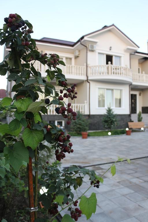 Guest House Sofia Kobuleti Exteriér fotografie